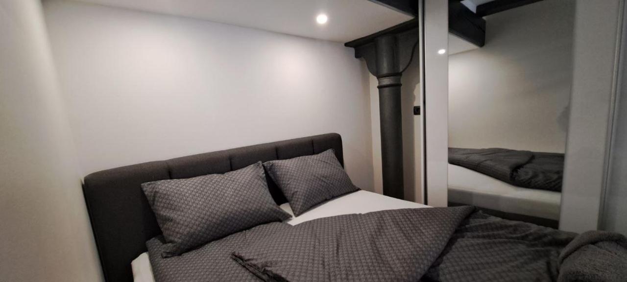 Ljubljana Nest- Centre, Free Parking- Renovated August 2024 Lejlighed Eksteriør billede